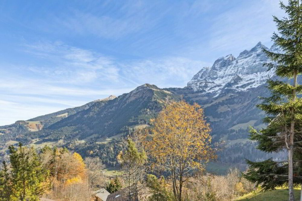6 rooms House to buy in Champéry - image 1/10