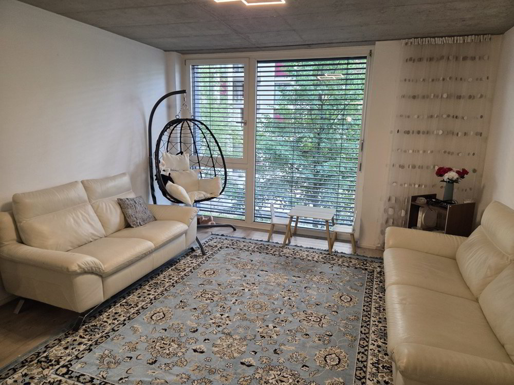 Wohnung – Schlieren - Ansicht 5