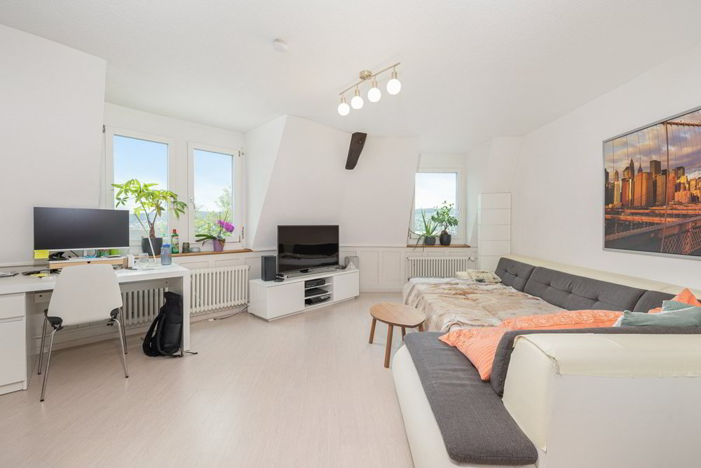 Haus – Thalwil - Ansicht 4