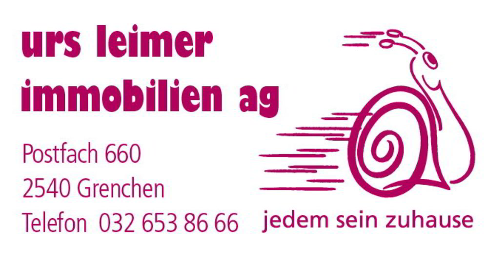 5 rooms Apartment for rent in Solothurn - image 1/11