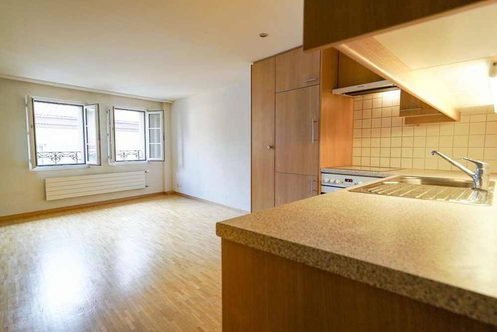 Appartamento di 2 locali in affitto a Lausanne - immagine 1/4