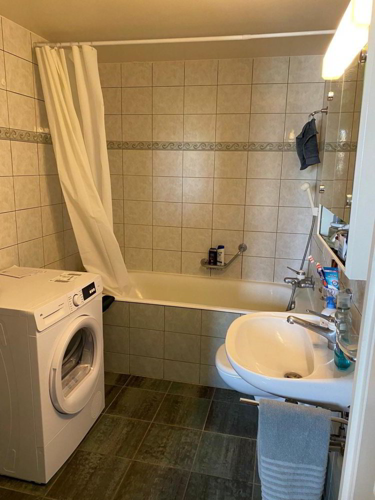 Wohnung – Carouge GE - Ansicht 4