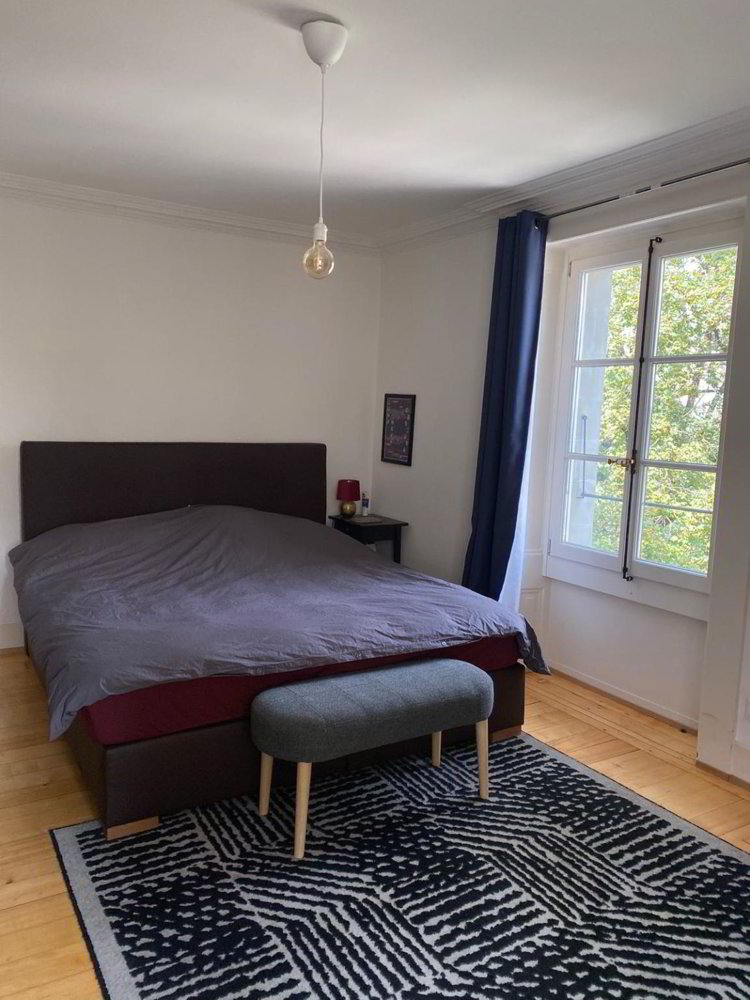 Wohnung – Carouge GE - Ansicht 5