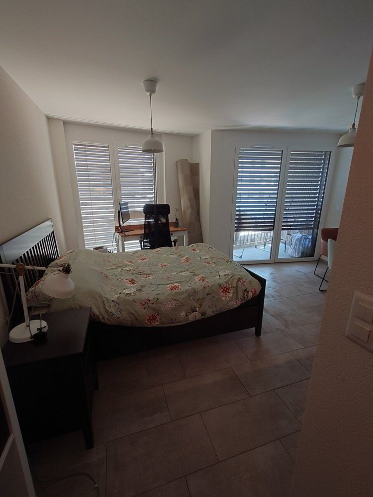 Appartement 1 pièces à louer à Crissier - image 1/9