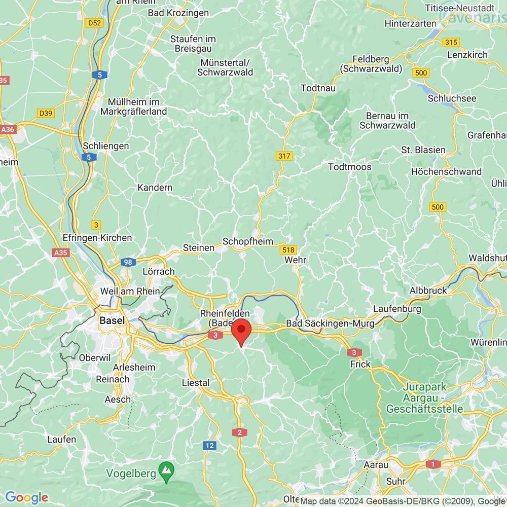 Appartamento di 2 locali in affitto a Magden - immagine 1/9