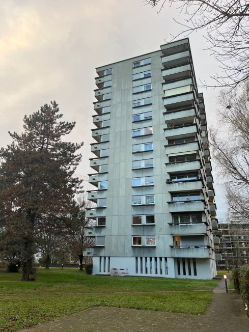 3 Zimmer Wohnung zu vermieten in Pratteln - Bild 1/1