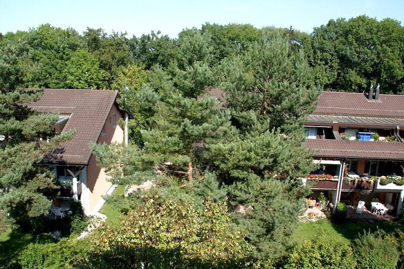 3 Zimmer Wohnung zu vermieten in Kloten - Bild 1/10