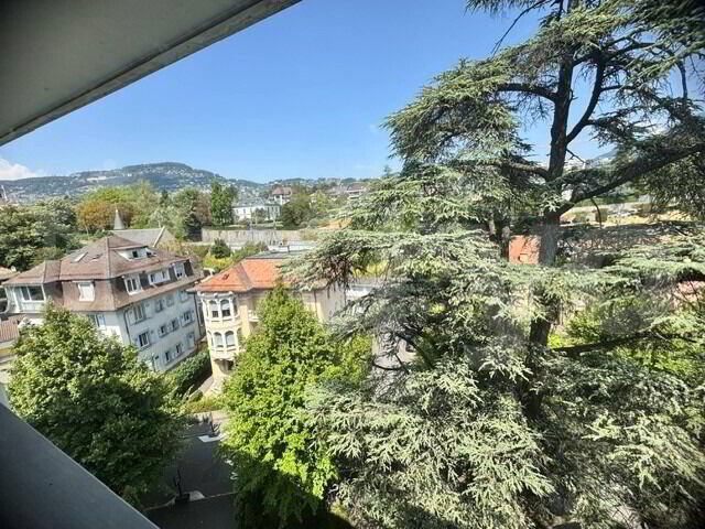 1 Zimmer Wohnung zu vermieten in Vevey - Bild 1/6