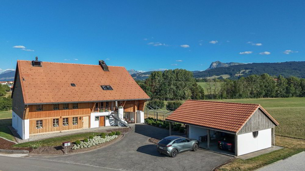 Casa di 9 locali in vendita a Sâles (Gruyère) - immagine 1/29