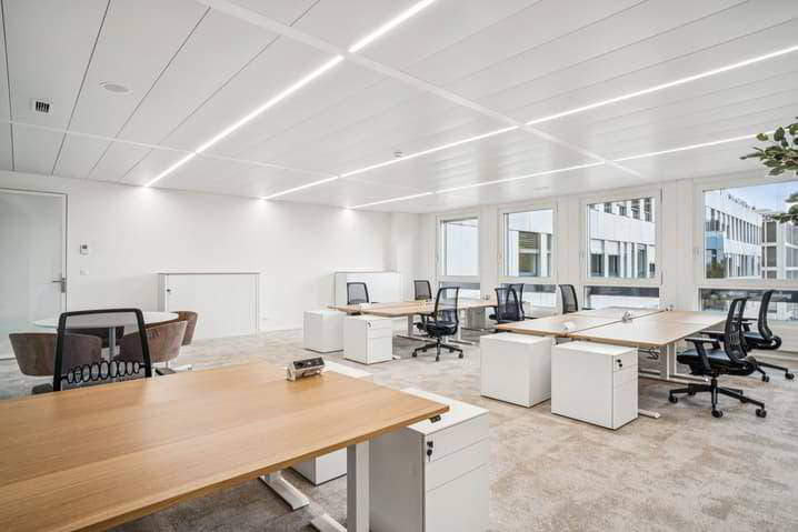 4 rooms Office & Commercial for rent in Petit-Lancy - image 1/13
