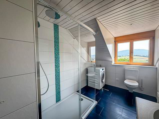 2.5 rooms Apartment for rent in Pierrafortscha - image 1/13