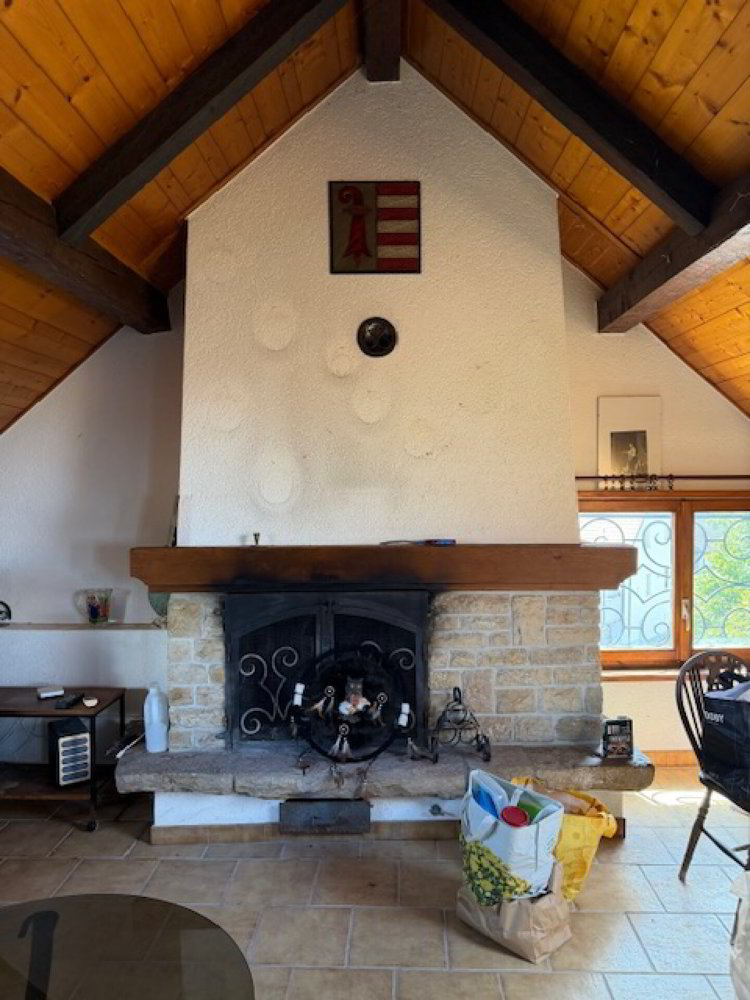 null rooms Office & Commercial to buy in Le Noirmont - image 1/5