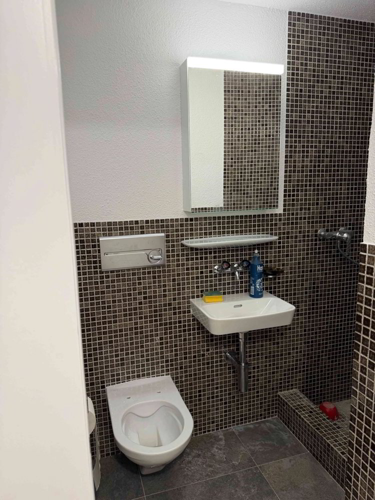 Appartement 5.5 pièces à louer à Glarus - image 1/9