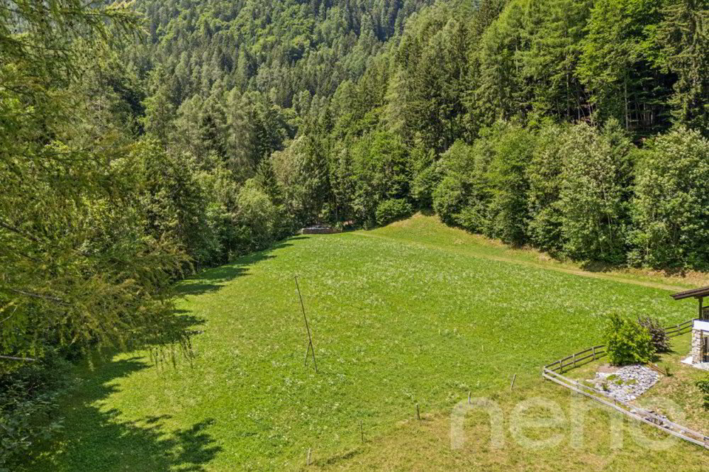 Grosszügiges Bauland mit Projektstudie an naturnaher Lage in Vättis - Ansicht 2