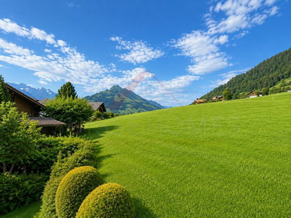 4 Zimmer Wohnung zum verkaufen in Frutigen - Bild 1/13