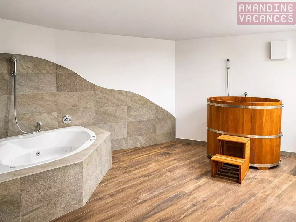 3 rooms Apartment to buy in Ovronnaz - image 1/13