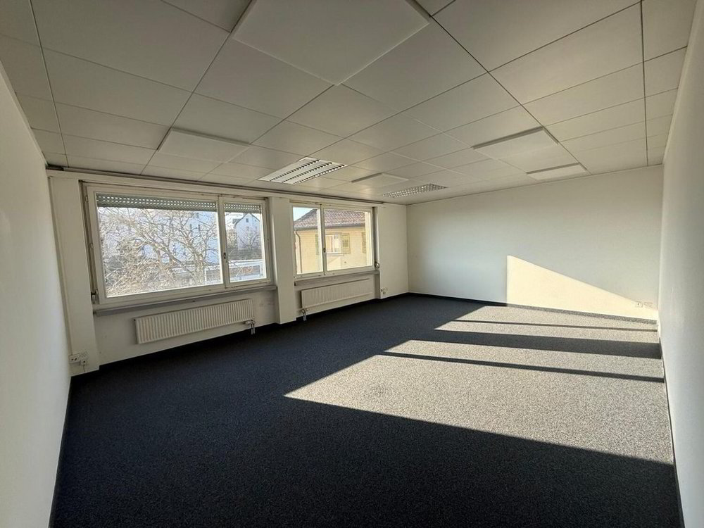 null rooms Office & Commercial for rent in Unterengstringen - image 1/6