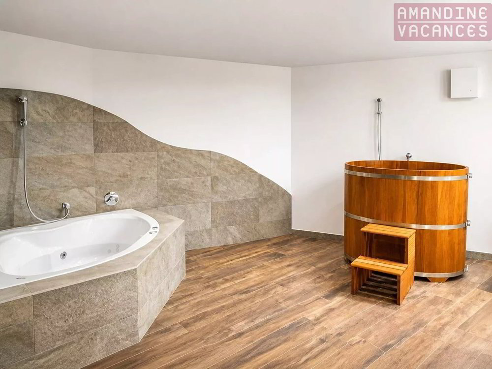 3 rooms Apartment to buy in Ovronnaz - image 1/13