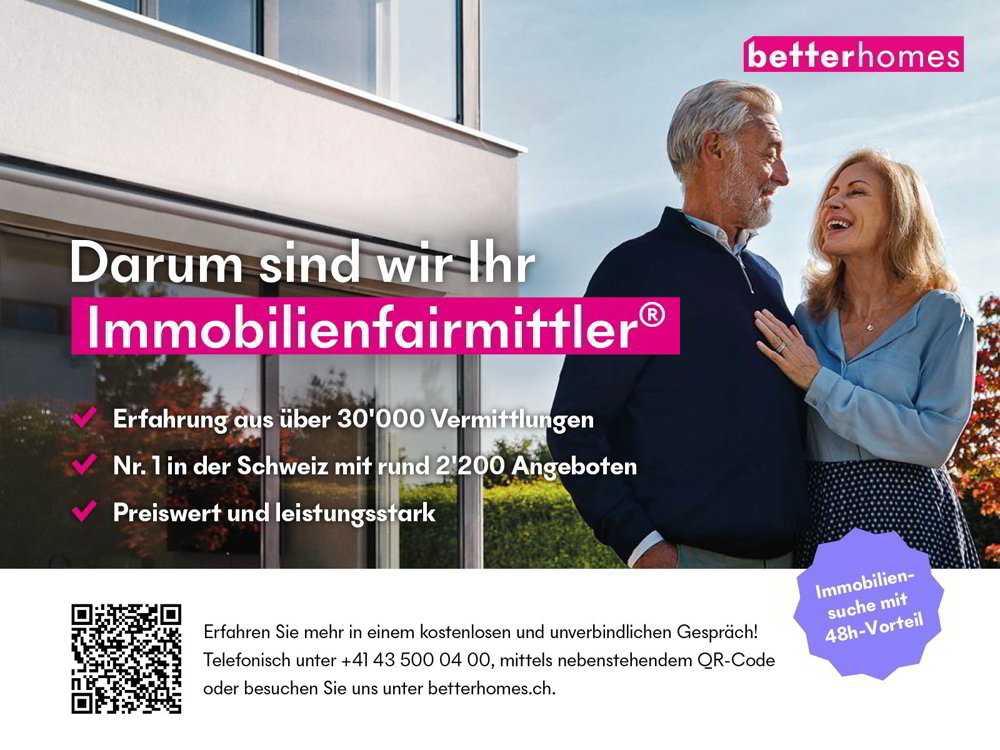 Appartamento di 3.5 locali in vendita a Remetschwil - immagine 1/4