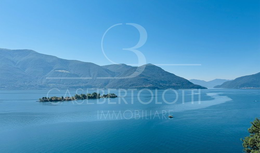 Appartement 7 pièces à acheter à Ronco sopra Ascona - image 1/4