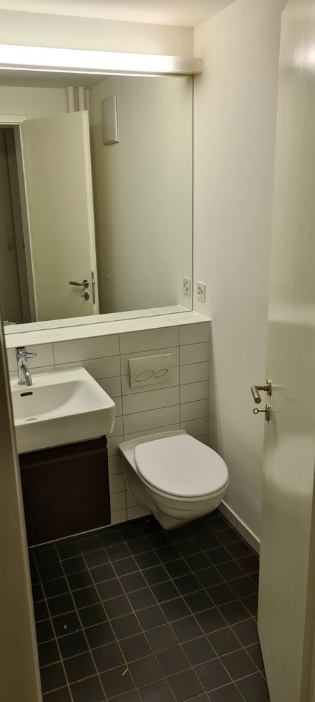 1 rooms Apartment for rent in Basel - image 1/5