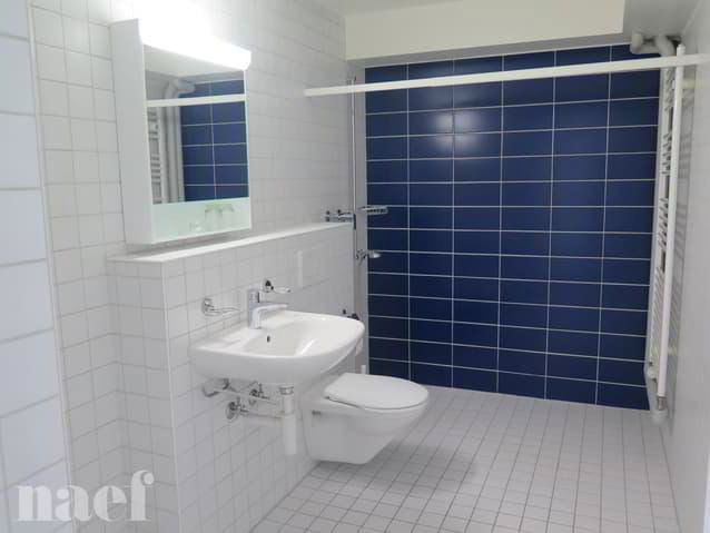 Appartamento di 2.5 locali in affitto a Neuchâtel - immagine 1/6