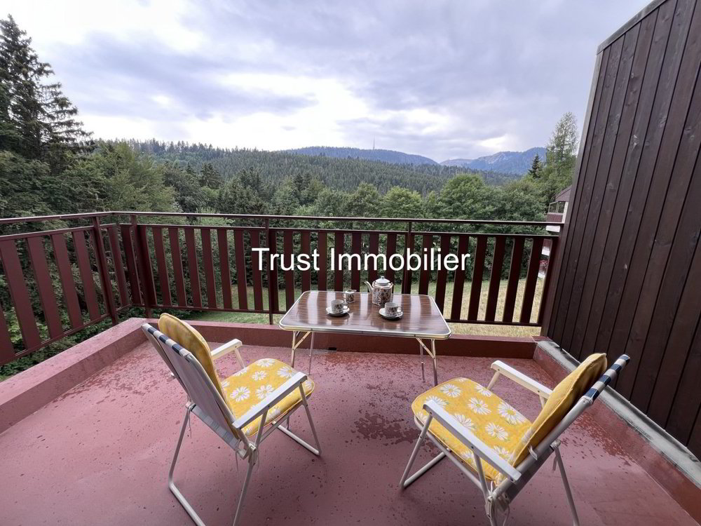 1 rooms Apartment to buy in St-Cergue - image 1/13