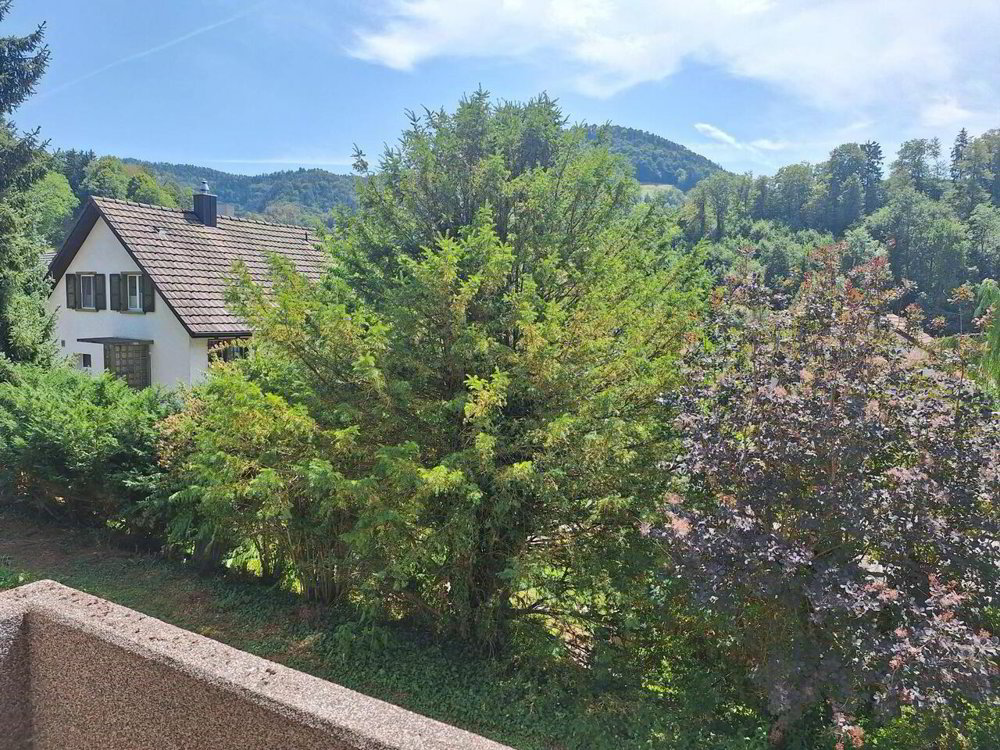 Casa di 5 locali in vendita a Zullwil - immagine 1/9