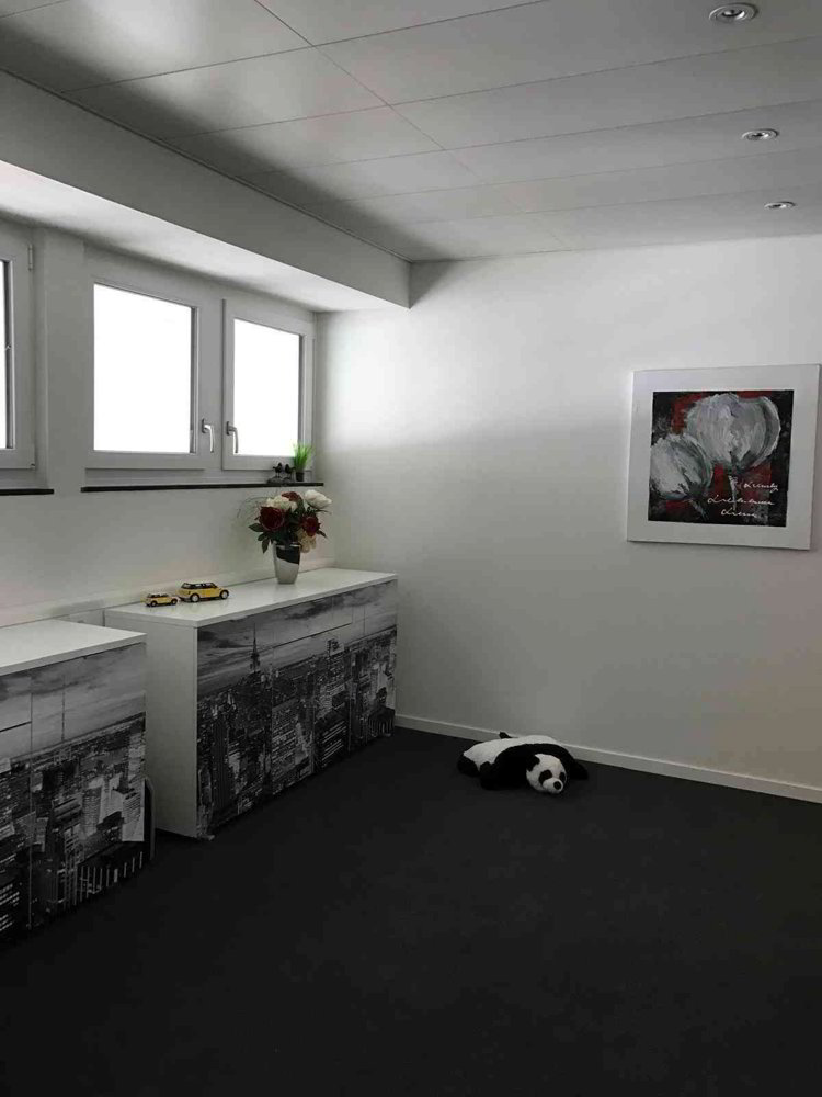 Räumlichkeiten für Büros, Lager, Gewerbe, Studio etc. - Ansicht 3