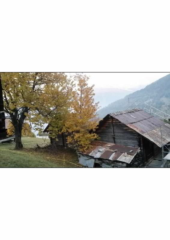 1 Zimmer Haus zum verkaufen in Euseigne - Bild 1/4