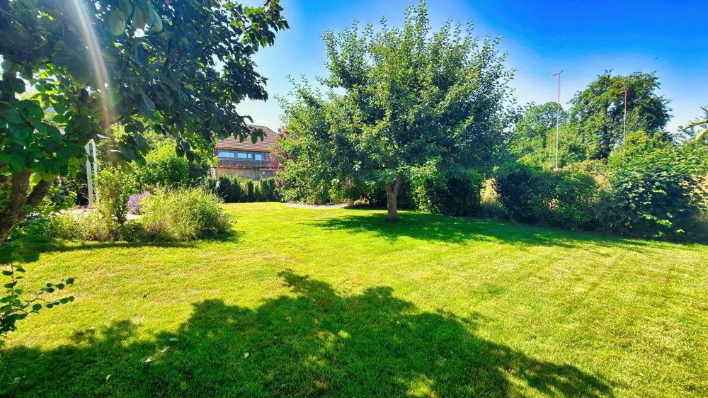 Haus – Limpach - Ansicht 4