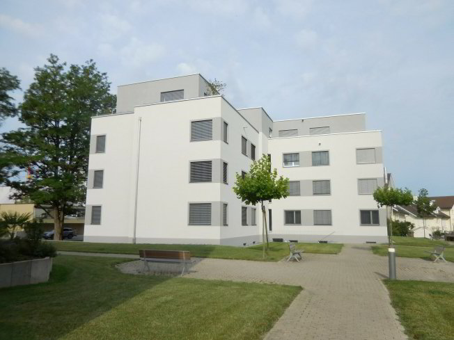 3 Zimmer Wohnung zu vermieten in Goldach - Bild 1/1