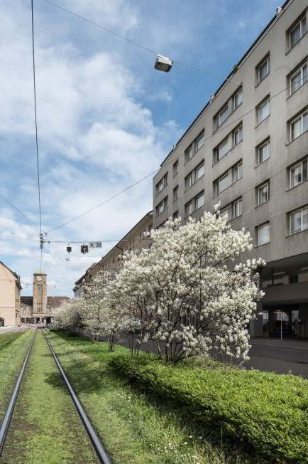 Appartamento di 3 locali in affitto a Bâle - immagine 1/1