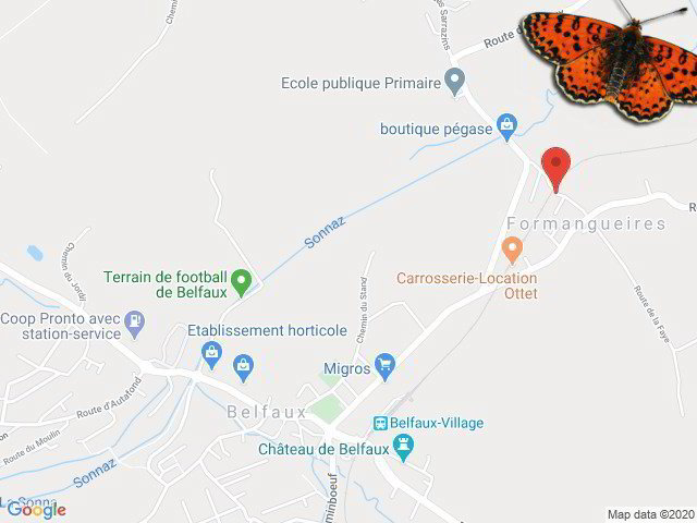 Appartamento di 3 locali in affitto a La Corbaz - immagine 1/13