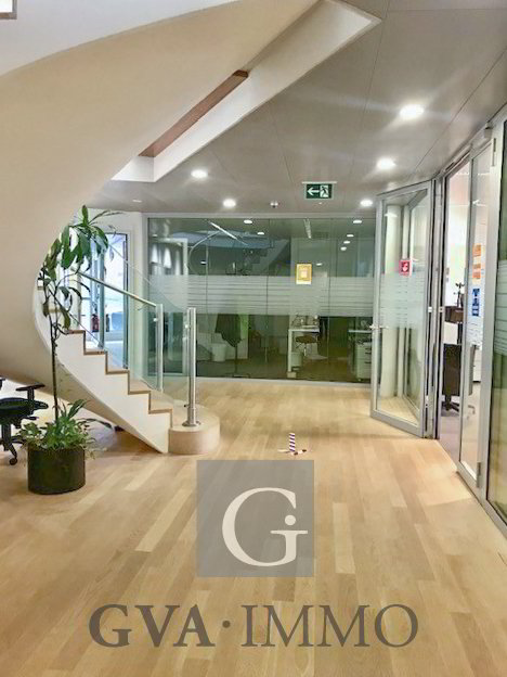 Tolle Büros im Malagnou-Viertel - Ansicht 4