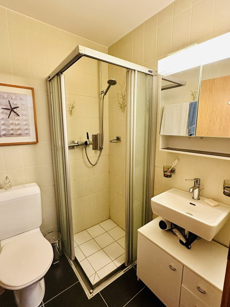 4 rooms Apartment to buy in Ollon VS - image 1/10