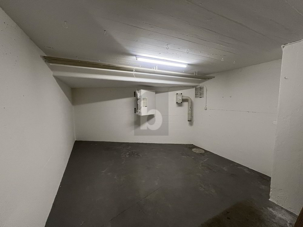 GROSSZÜGIG, FLEXIBEL MIT EIGENER GARAGE - Ansicht 4