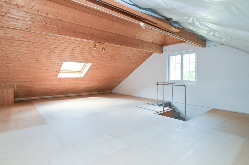 5.5 rooms House to buy in Schönenwerd - image 1/13