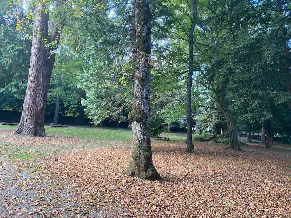 Appartement 7.5 pièces à acheter à Satigny - image 1/8