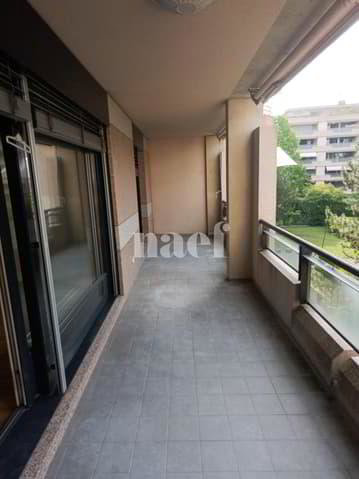 5 Zimmer Wohnung zu vermieten in Carouge GE - Bild 1/10