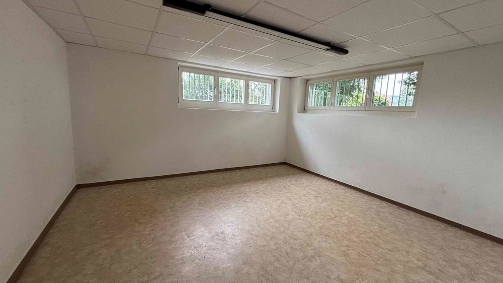 Casa di 10 locali in vendita a Liestal - immagine 1/13