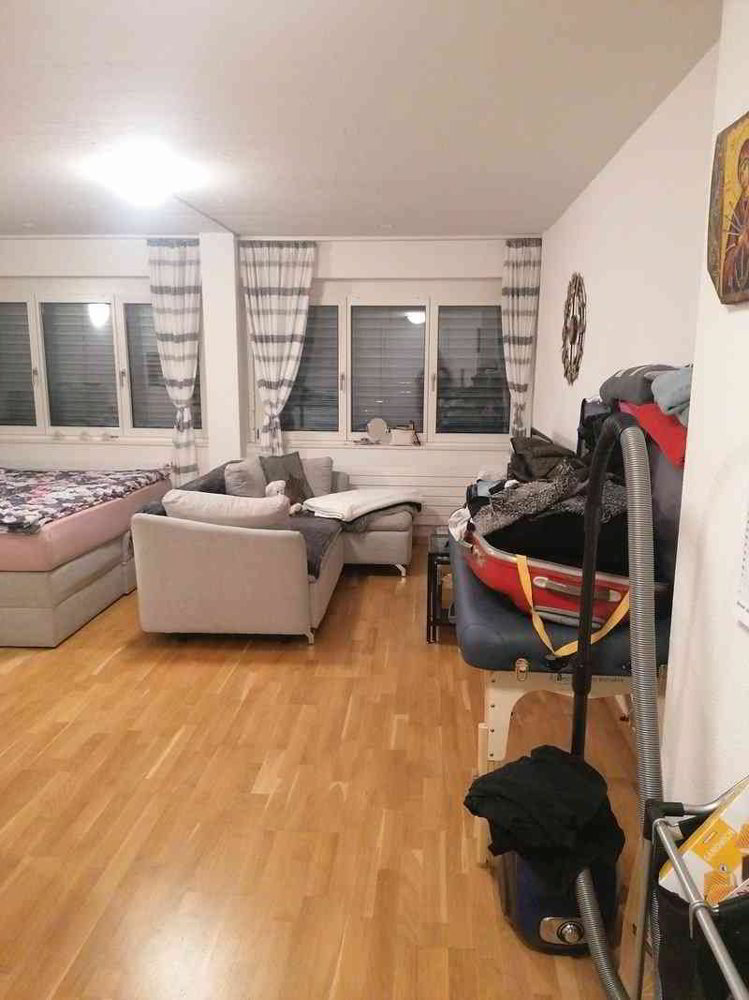 Appartamento di 1 locali in affitto a Losanna - immagine 1/5
