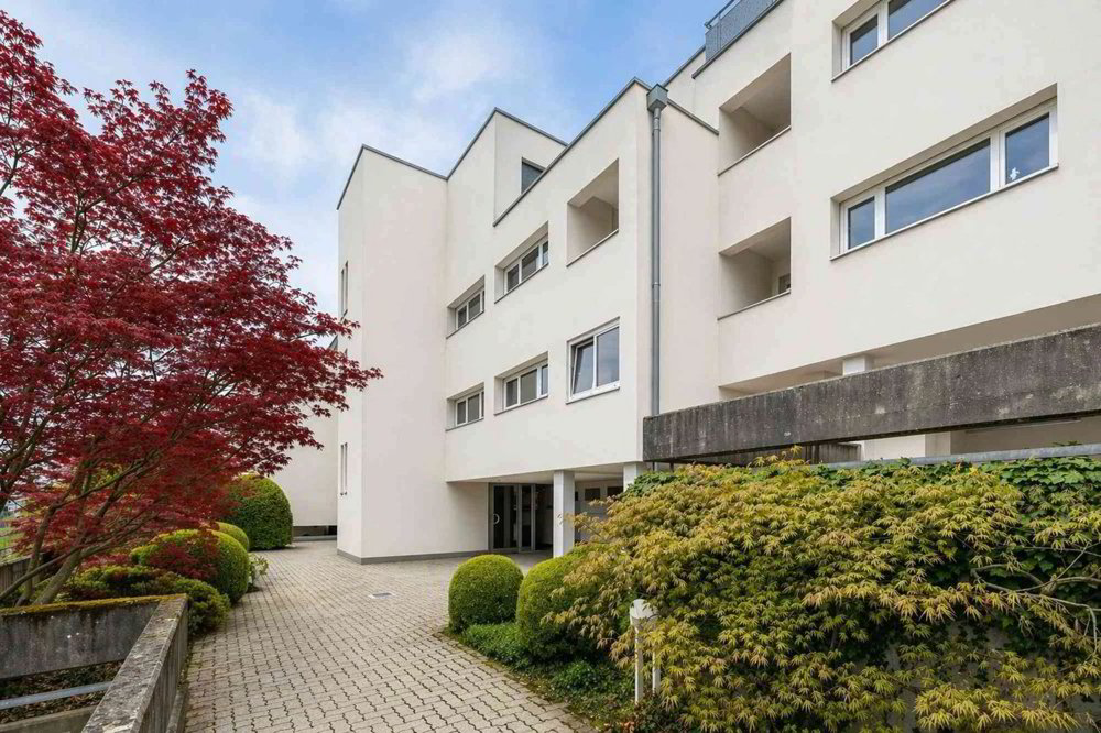 3.5 Zimmer Wohnung zu vermieten in Kloten - Bild 1/9