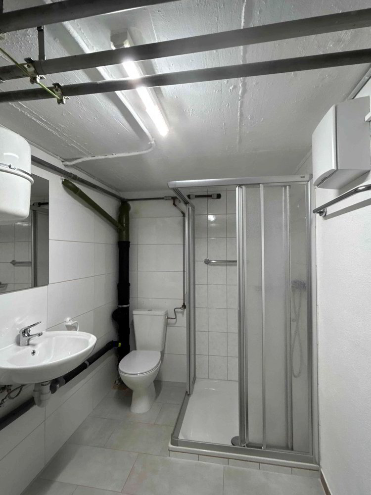 Maison 4 pièces à louer à Reinach BL - image 1/11