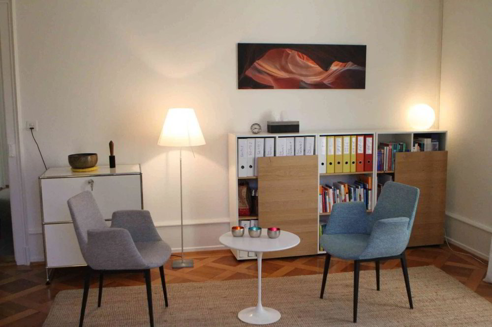 Heller Praxisraum/Büro (40%) Altbau, stadtnah, im Grünen, ruhig - Ansicht 2