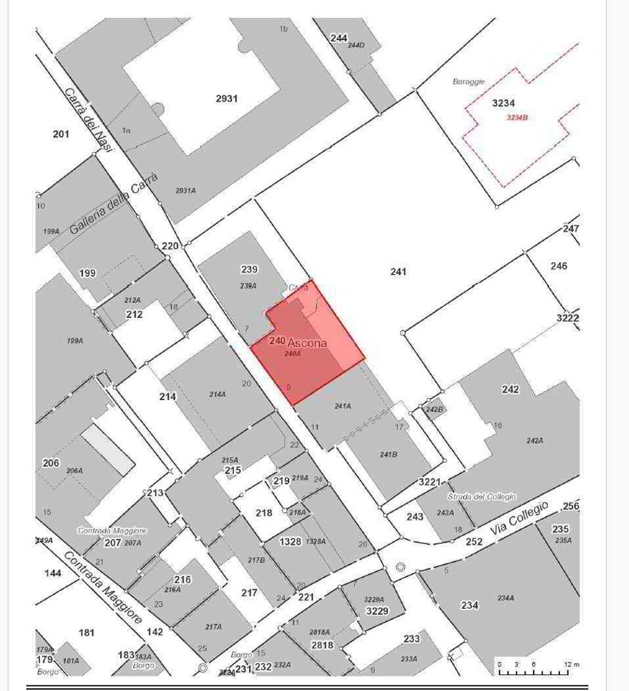 Ascona Locale commerciale / Gewerbelokal - Ansicht 2