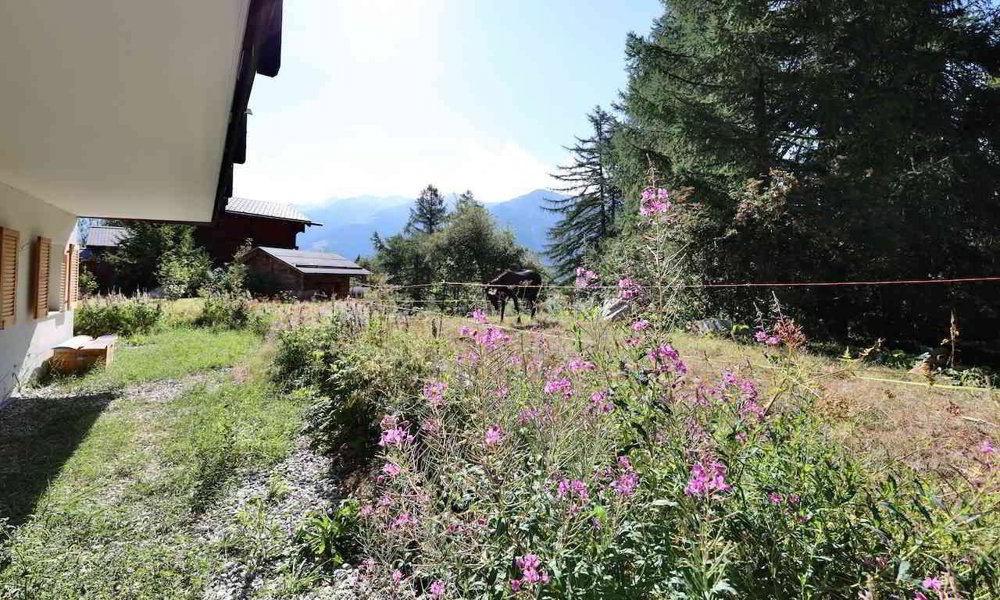 Wohnung – Bellwald - Mehr