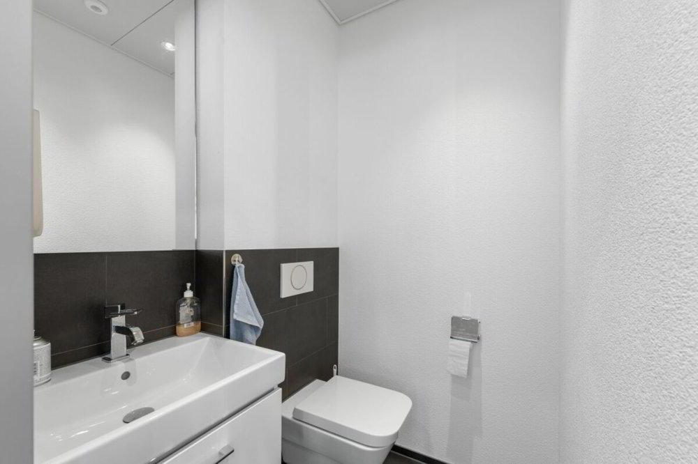 Ufficio & Commercio di null locali in affitto a Altdorf UR - immagine 1/10