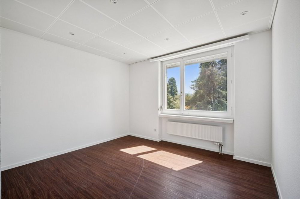 null rooms Office & Commercial for rent in Unterengstringen - image 1/7