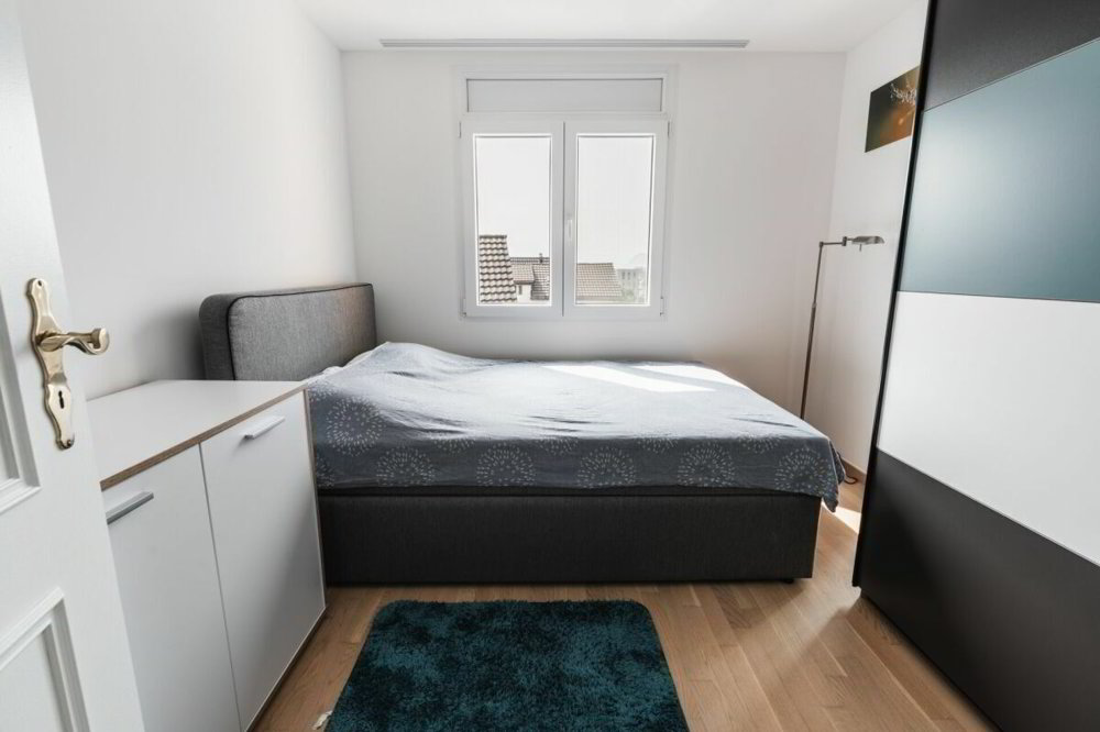 Appartement 4.5 pièces à acheter à Rebstein - image 1/8